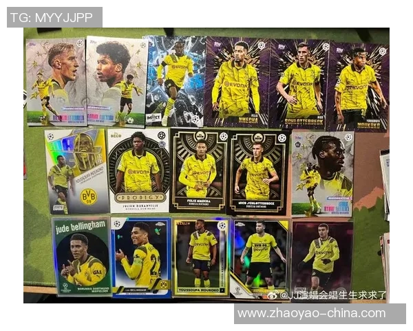 足球明星拉莫斯球星卡的收藏价值与市场分析探讨