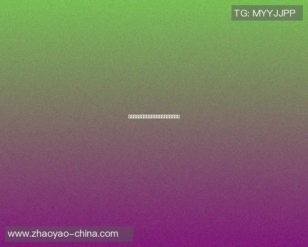 昔日崭露头角的篮球明星们如今的辉煌与挑战